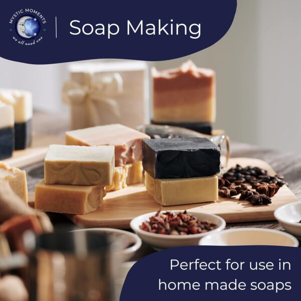 Mystic Moments | Champa Flower Fragrance Oil - 1Kg - Perfect for Soaps, Candles, Bath Bombs, Oil Burners, Diffusers and Skin & Hair Care Items