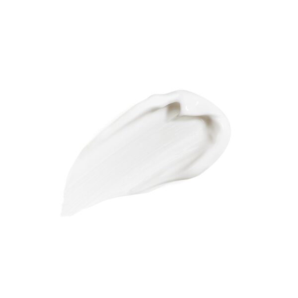 Sisley Paris All Day All Year - 50 mL - Essential Anti-Aging Moisturizer for Stronger, Younger-Looking Skin - Non-Shiny Finish