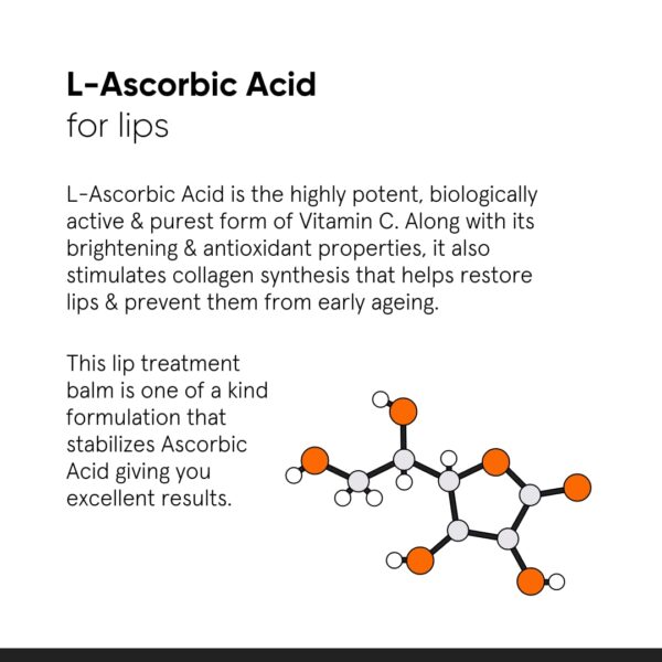 Minimalist Lip Balm for Moisturizing, Softening & Brightening Lips | 8% L-Ascorbic Acid with Vitamin E, Radianskin & Glycerine | For Women & Men | 0.42 Oz / 12 gm