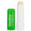 Vaseline Lip w/o Backer Card Aloe - 12 pack box