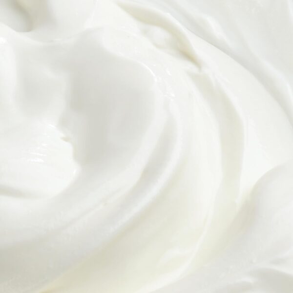 L'Oreal Paris Elvive Total Repair 5 Protein Recharge Leave In Conditioner Treatment and Heat Protectant, 5.1 Ounce