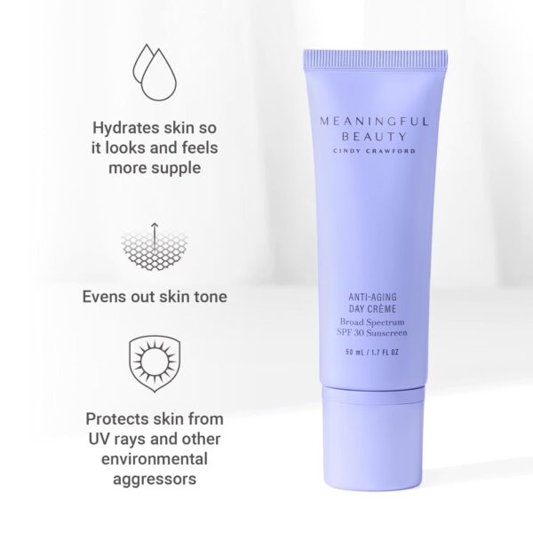 Meaningful Beauty Environmental Protecting Moisturizer Broad Spectrum SPF 30