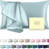 Mulberry Silk Pillowcase for Hair and Skin Standard Size 20"X 26" with Hidden Zipper Soft Breathable Smooth Cooling Pillow Covers for Sleeping(Haze Blue,1Pcs)