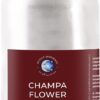Mystic Moments | Champa Flower Fragrance Oil - 1Kg - Perfect for Soaps, Candles, Bath Bombs, Oil Burners, Diffusers and Skin & Hair Care Items