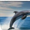 Jumping Up Dolphins Makeup Bag For Women, Waterproof Linen Travel Cosmetic Organizer Lightweight Zipper Travel Toiletry Bag Organizer Makeup Brushes Storage Bag