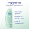 Head & Shoulders BARE Dandruff Shampoo Twin Pack, Fragrance-Free, Sensitive Scalp Care, Sulfate-Free, Silicone-Free, Dye-Free, Eco-Friendly Bottles, Safe for All Hair Types, 13.5 Fl Oz Each (Set of 2)