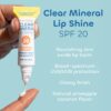 Seaweed Bath Co. Hydrating Clear Mineral Lip Shine SPF 20 Sunscreen Zinc Oxide Lip Balm, .35 Oz, Moisturizing Care for Dry, Chapped Lips