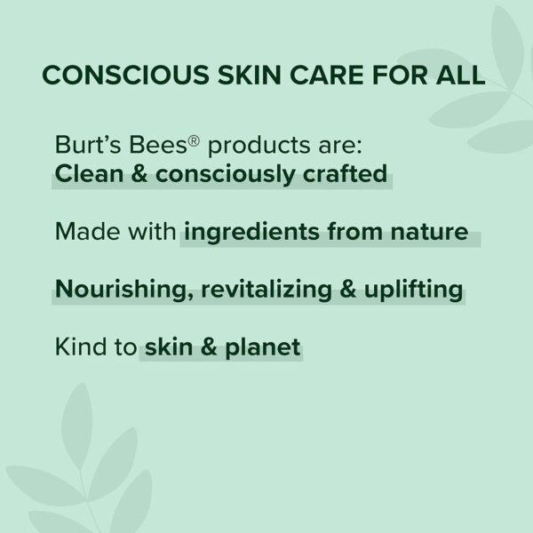 Burt’s Bees 100% Natural Moisturizing Lipstick, Russet River, 1 Tube