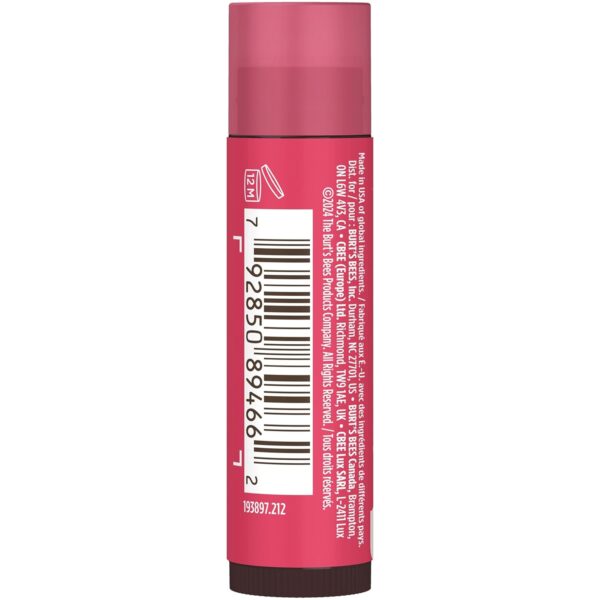 Burt's Bees Lip Tint Balm with Long Lasting 2 in 1 Duo Tinted Balm Formula, Color Infused with Deeply Hydrating Shea Butter for a Natural Looking Buildable Finish, Petal Rose (2-Pack)