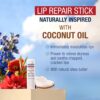 Aquaphor Naturally Inspired Lip Repair Stick with Coconut Oil and Natural Shea Butter, Hydrating Lip Balm Immediately Relieves Dryness, 0.17 Oz Stick