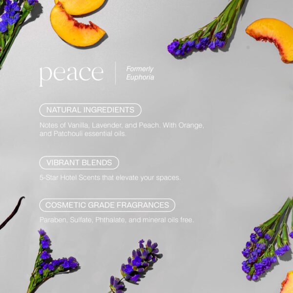 Doctor Aromas Plug-in Aroma Diffuser with 100 ML Premium Scent Oil – Long-Lasting Cold Air Fragrance Dispenser for Home or Office. (Peace)