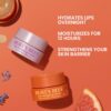 Burt’s Bees Lavender Vanilla Lip Sleeping Mask, Mothers Day Gifts, With Hyaluronic Acid and Squalane Moisturizer To Instantly Hydrate Lips, Overnight Lip Mask, Lip Treatment, 0.45 oz.