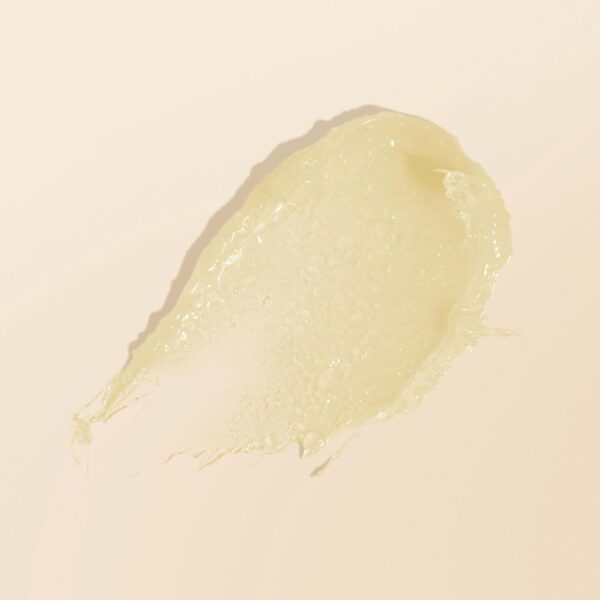 Burt’s Bees Lavender Vanilla Lip Sleeping Mask, Mothers Day Gifts, With Hyaluronic Acid and Squalane Moisturizer To Instantly Hydrate Lips, Overnight Lip Mask, Lip Treatment, 0.45 oz.