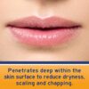 Neosporin Lip Health Overnight Healthy Lips Renewal Therapy Petrolatum Lip Protectant, 0.27 Ounce (Pack of 1)