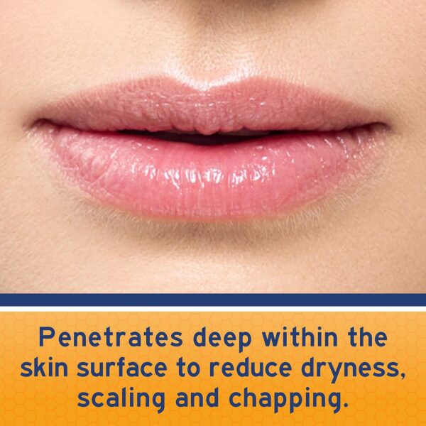 Neosporin Lip Health Overnight Healthy Lips Renewal Therapy Petrolatum Lip Protectant, 0.27 Ounce (Pack of 1)