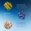 iS CLINICAL Active Serum - Visibly evens skin tone, Excellent for blemish prone skin, Anti-Aging Face Serum