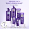 L’Oreal Paris EverPure Sulfate Free Brass Toning Purple Shampoo and Conditioner Set for Blonde, Bleached, Silver, or Brown Highlighted Hair, 1 Kit