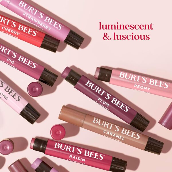 Burt's Bees Lip Shimmer Pink Collection, Mothers Day Gifts, Tinted Lip Balm Stick, Moisturizing for All Day Hydration with Natural Glowy Pigmented Finish & Buildable Color, 3 Tubes x 0.09 Oz