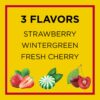 Carmex Daily Care Moisturizing Lip Balm Pack, Lip Balm With Sunscreen in Fresh Cherry, Strawberry and Wintergreen -0.35 Ounce (Pack of 3)