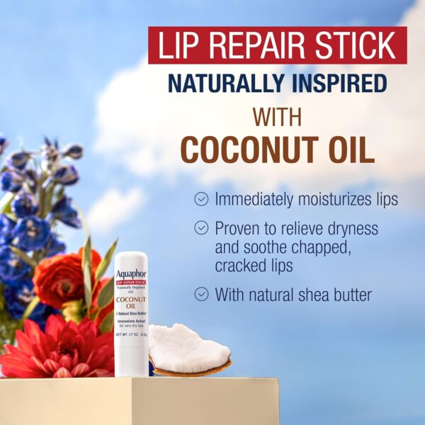 Aquaphor Naturally Inspired Lip Repair Stick with Coconut Oil and Natural Shea Butter, Hydrating Lip Balm Stick Immediately Relieves Dryness and Soothes Chapped Lips, 0.17 Oz Stick, Pack of 3