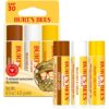 Burt’s Bees SPF 30 Lip Balm, Island Getaway - Coco Loco, Beaches & Cream, Tropic Like It's Hot, Water-Resistant Sun Care, Natural Origin Lip Treatment, 3 Tubes, 0.15 oz
