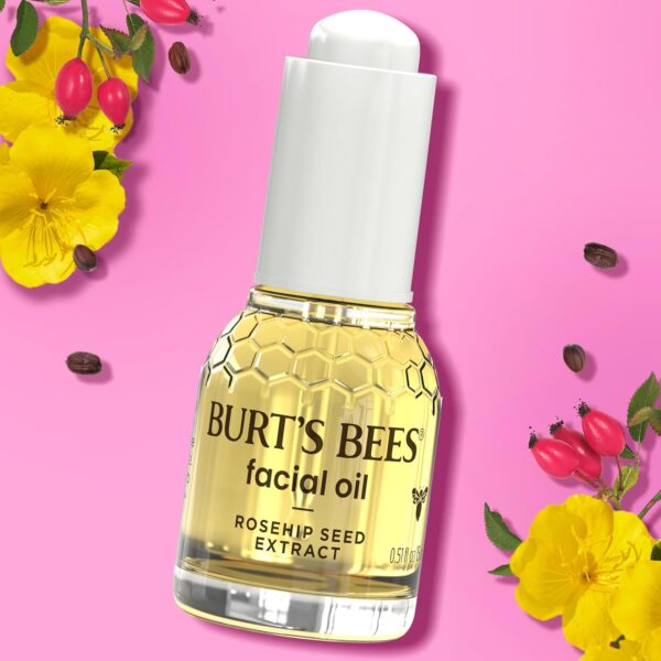 Burt's Bees Gua Sha Face Oil With Rosehip Seed Extract, Reduces Appearance of Fine Lines and Wrinkles, Use with Ice Roller & Facial Tools, Natural Origin Skin Care, 0.51 fl. oz.