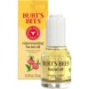 Burt's Bees Gua Sha Face Oil With Rosehip Seed Extract, Reduces Appearance of Fine Lines and Wrinkles, Use with Ice Roller & Facial Tools, Natural Origin Skin Care, 0.51 fl. oz.