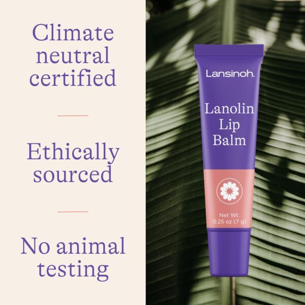 Lansinoh Lanolin Lip Balm, Moisturizing Lip Care, 4 Pack, 0.25 Ounces Each