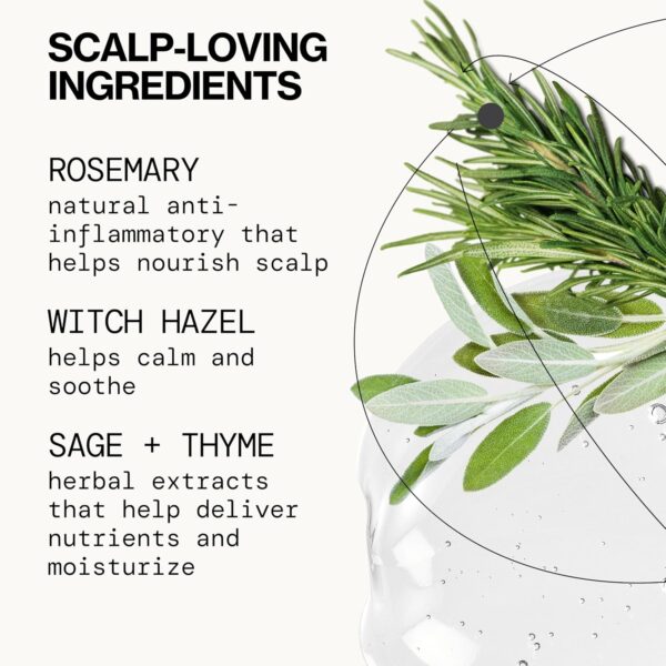 Pacifica Scalp Serum – Rosemary Mint Scalp Love Serum - Scalp Treatment for Dry Itchy Scalp w/Witch Hazel for Scalp Detox & Moisturizing, Vegan & Cruelty-Free, 2 oz