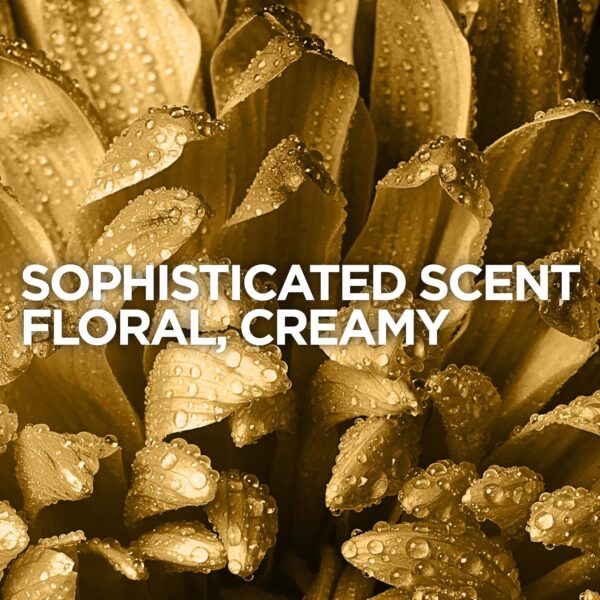 L'Oreal Paris Elvive TR5 Power Restore Multi Use Treatment