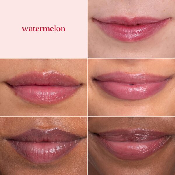 Burt's Bees Lip Shimmer Pink Collection, Mothers Day Gifts, Tinted Lip Balm Stick, Moisturizing for All Day Hydration with Natural Glowy Pigmented Finish & Buildable Color, 3 Tubes x 0.09 Oz