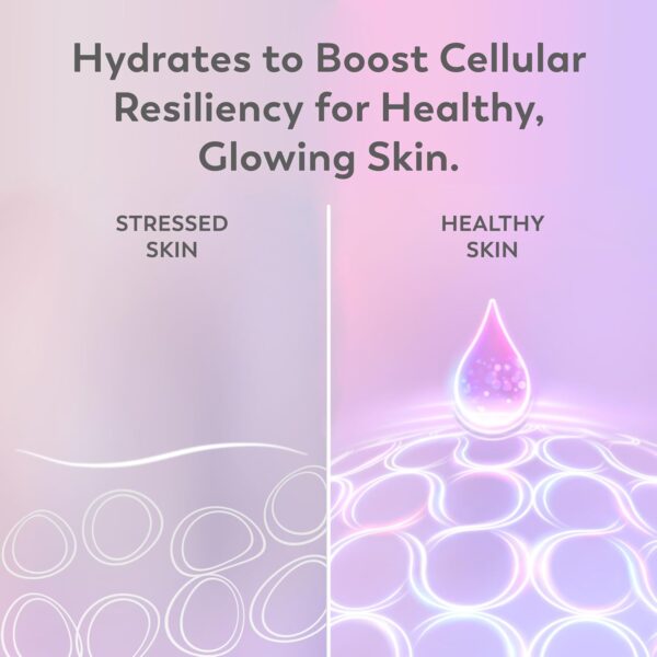 Olay Super Serum Night Repair, Fragrance-Free - Niacinamide, Peptide, Salicylic & Lactic Acid, Glycerin ​- 5-in-1 Skin Care Benefits - Hydrating, Evens Tone, Reduces Dark Spots, Anti-Aging, 1.0 Oz