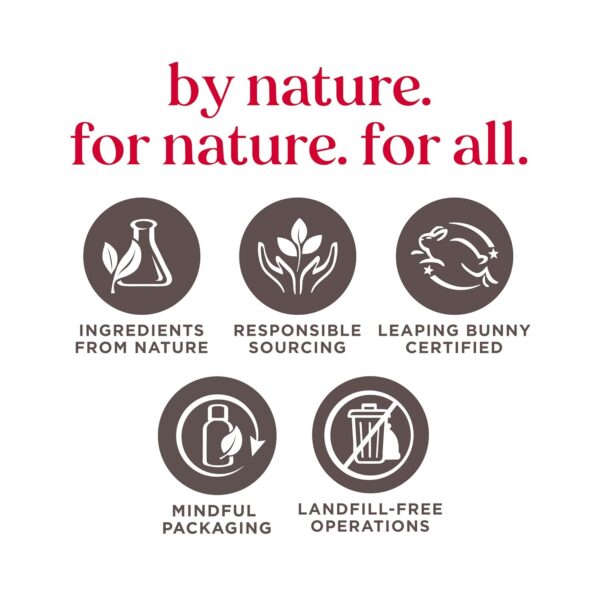 Burt's Bees Refreshing Foaming Face Cleanser and Natural Face Wash with Cucumber and Mint, 4.8 Fluid