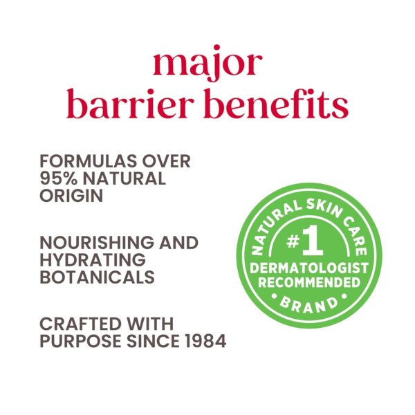 Burt's Bees Refreshing Foaming Face Cleanser and Natural Face Wash with Cucumber and Mint, 4.8 Fluid