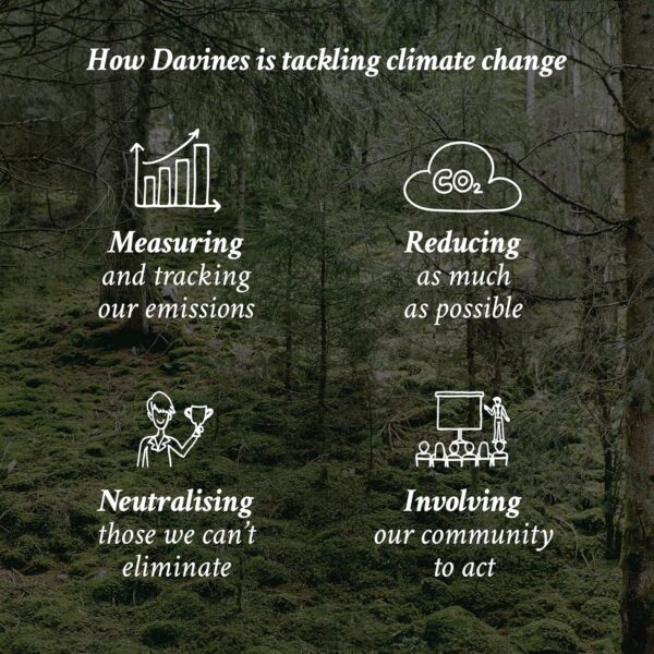 Davines OI Nourishing Shampoo for All Hair Types, Adds Silky-Smooth Shine & Volume, Softens And Restores Chemically Treated Hair