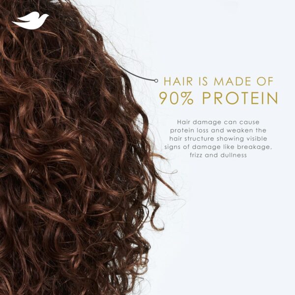 Dove Shampoo Coconut & Hydration for Dry Hair with Bio-Protein Care Technology and Coconut Oil 28 Fl Oz