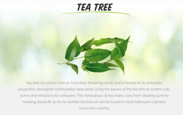 7th Heaven Tea Tree Easy Peel-Off Face Mask, Parabens Free, Green, 3-Pack of 0.3 Fl Oz each, 3 Sachets