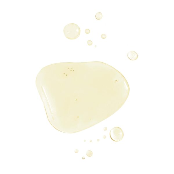 Burt's Bees Nourishing Cleansing Oil With Coconut and Argan Oils, Cleansing Face Oil for Normal to Dry Skin, College Back to School Dorm Essentials, Natural Origin Skin Care, 6 fl. oz. Bottle