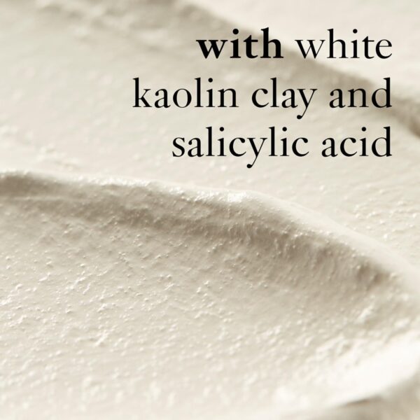 philosophy purity made simple pore extractor clay face mask - with purifying white kaolin clay, salicylic acid & natural exfoliants – removes impurities and reduces the appearance of pores