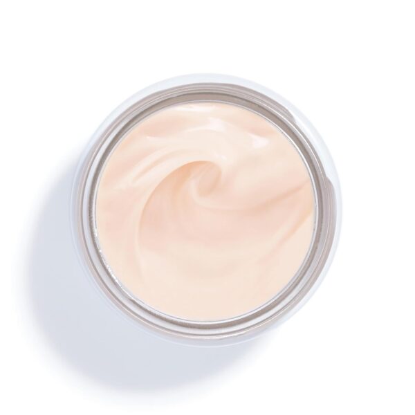 Sisley Paris Neck Cream The Enriched Formula - 50 mL - Anti-Aging Skin Care - Firms, Hydrates & Refines the Neck