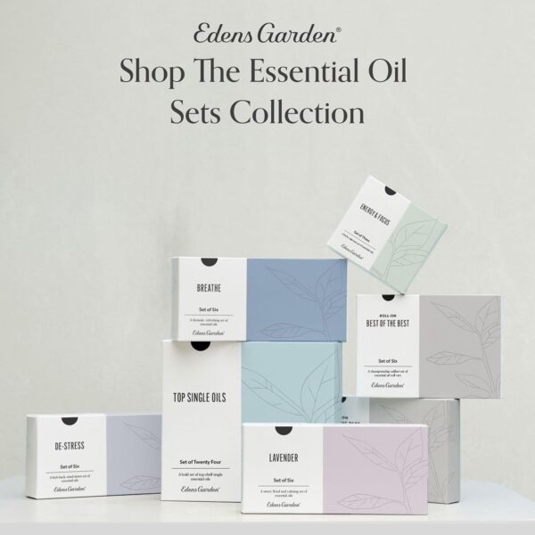 61CZbUuL-zL._AC_SL1500_.jpg Edens Garden Rose Essential Oil Blend – 100% Pure Therapeutic Grade, Aromatherapy, Relaxation, Skin Therapy, Clean Perfume & Fragrance Alternative, Floral Aroma for Diffusers & DIY 10 ml (.33 fl oz)