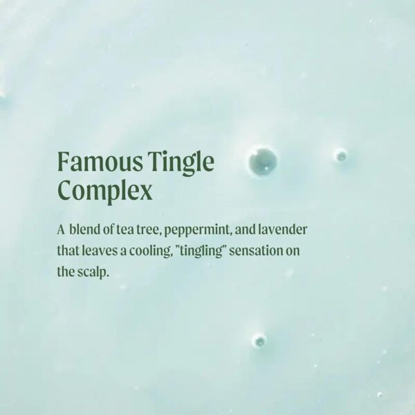 Tea Tree Special Shampoo, Deep Cleans, Refreshes Scalp, For All Hair Types, Especially Oily Hair