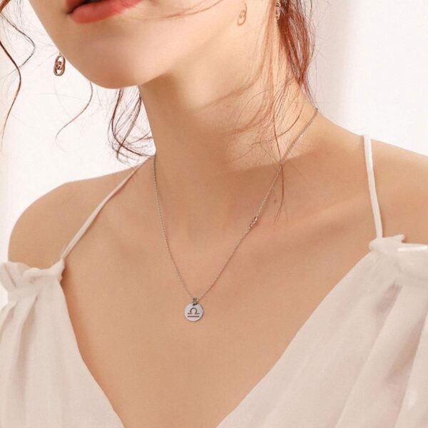 DanLingJewelry 12 pcs 304 Stainless Steel Flat Round Zodiac Sign Charms 12 Constellation Pendants DIY for Jewelry Making (Stainless Steel Color-12x1mm, Hole: 1mm)