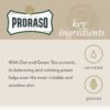Proraso After Shave Balm for Men, Sensitive Skin Moisturizer with Oatmeal and Green Tea, 3.4 Fl Oz (Pack of 1)