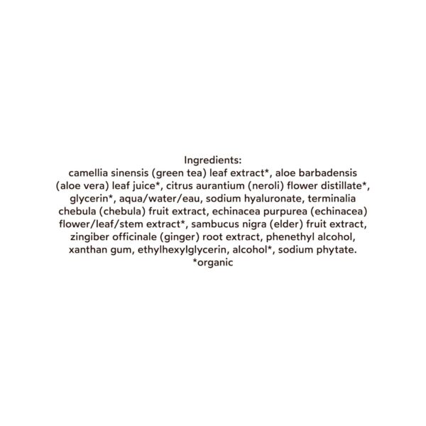 True Botanicals Chebula Active Serum | Optimizes Skins Collagen Levels | Anti-Aging Serum | Treats Fine Lines & Wrinkles | All Skin Types | Dermatologist Tested, All Natural, Vegan | 1 fl oz | 30 ml