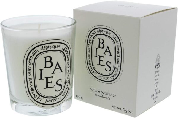 Diptyque Baies Candle-6.5 oz.