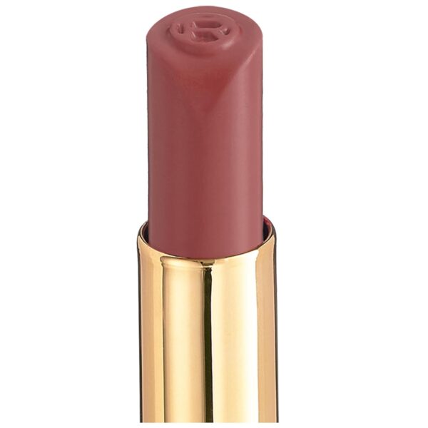 L'Oreal Paris Colour Riche Intense Volume Matte Lipstick, Lip Color Infused with Hyaluronic Acid for up to 16hr All Day Comfort, Le Wood Nonchalant, 0.06 Oz