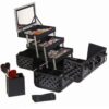 SHANY Premier Fantasy Professional Makeup Train Case Cosmetic Box Portable Make up Case Organizer Jewelry storage with Locks, 3 Trays, Makeup Brush Holder and Cosmetics Mirror - Black Diamond