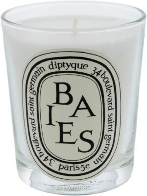 Diptyque Baies Candle-6.5 oz.