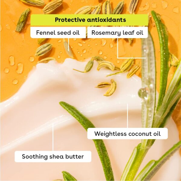 eos Lip Balm Gift Set- Peachy Keen, Limited-Edition Lip Moisturizer, Variety Pack, 0.14 oz, 4-Pack